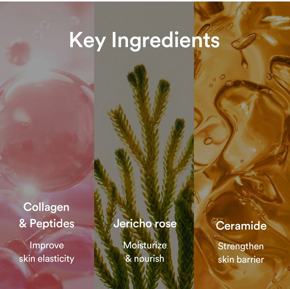 Abib Collagen Gel Mask Jericho Rose Jelly