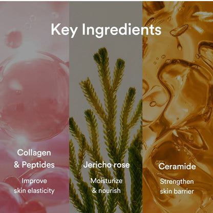 Abib Collagen Gel Mask Jericho Rose Jelly