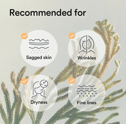 Abib Collagen Gel Mask Jericho Rose Jelly